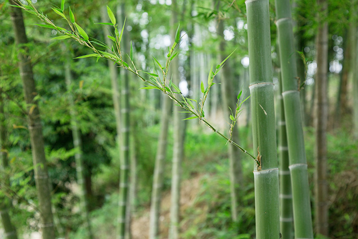 普瑞泰環境設備科技：專業的新風機制造商